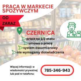 Praca w markecie, Dino Polska S.A. Czernica 1/2 etatu