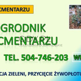 Przycięcie tui, żywopłotu na cmentarzu, grabiszyn, osobowice, tel. Tel. 504-746-203.