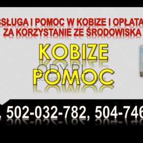 Ile kosztuje szkolenie indywidualne z kobize? tel. 502-032-782, raport do bazy emisji