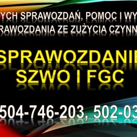 Sprawozdanie SZWO i FGC, tel. 504-746-203, do Bazy Danych Sprawozdań za fgazy