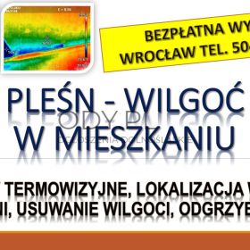 Wykrycie grzyba w mieszkaniu, tel. 504-746-203, Wrocław, lokalizacja pleśni i wilgoci