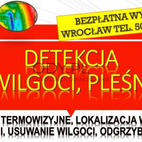 Wykrycie pleśni, tel. 504-746-203. Wrocław, wykrywanie, pleśń, lokalizacja, cennik