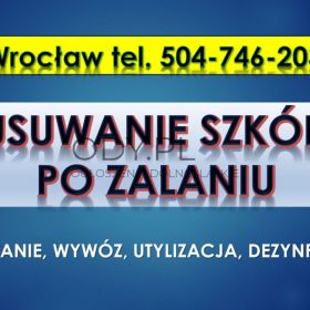 Usuwanie szkód po zalaniu, cennik tel. 504-746-203, Wrocław. Dezynfekcja