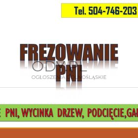 Frezowanie pni, cena, tel. 504-746-203, Wrocław, usunięcie pnia.  Usuwanie pni