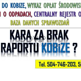 Kobize kara, kontrola? Tel. 502-032-782, Pomoc w raporcie do kobize